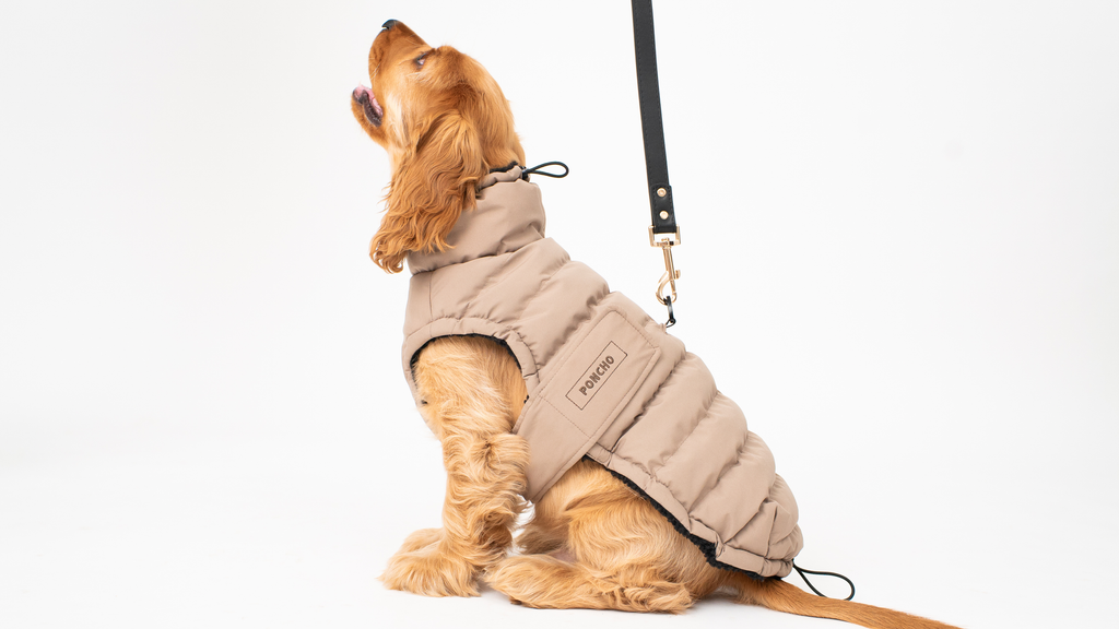 The Original Desert Storm Coat