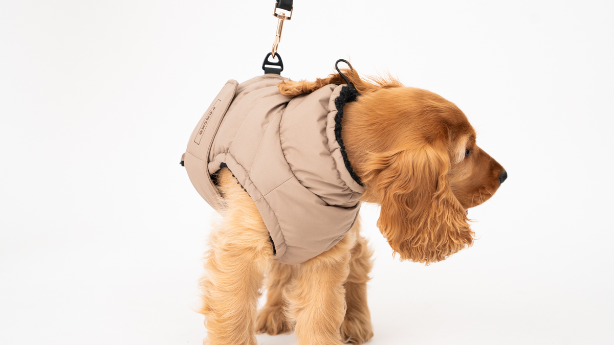 The Original Desert Storm Coat