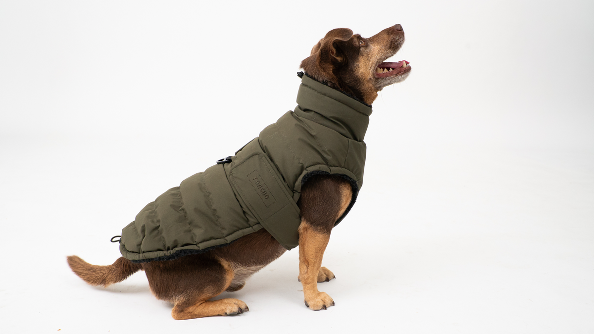 The Original Wild Forest Coat