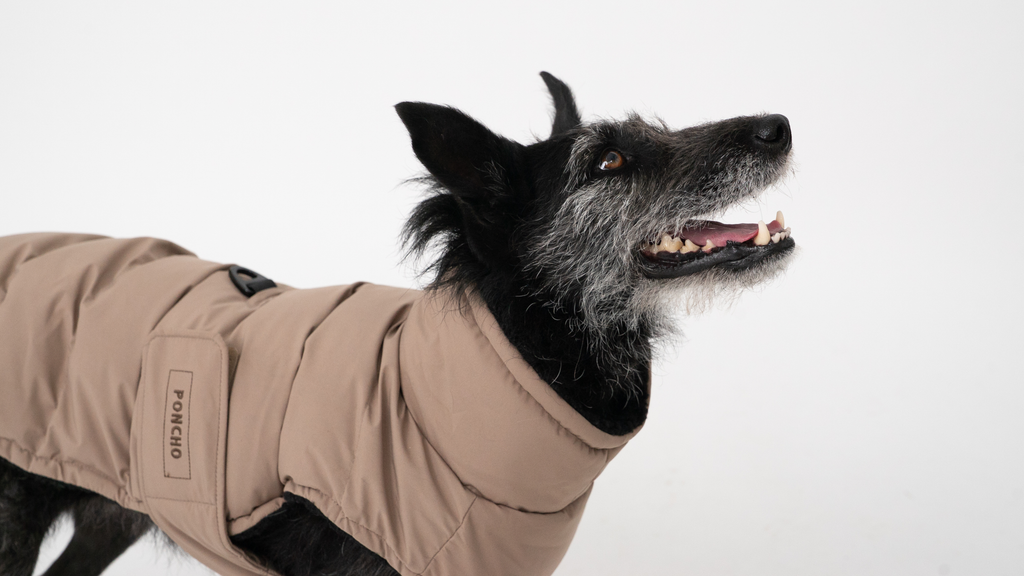 The Original Desert Storm Coat
