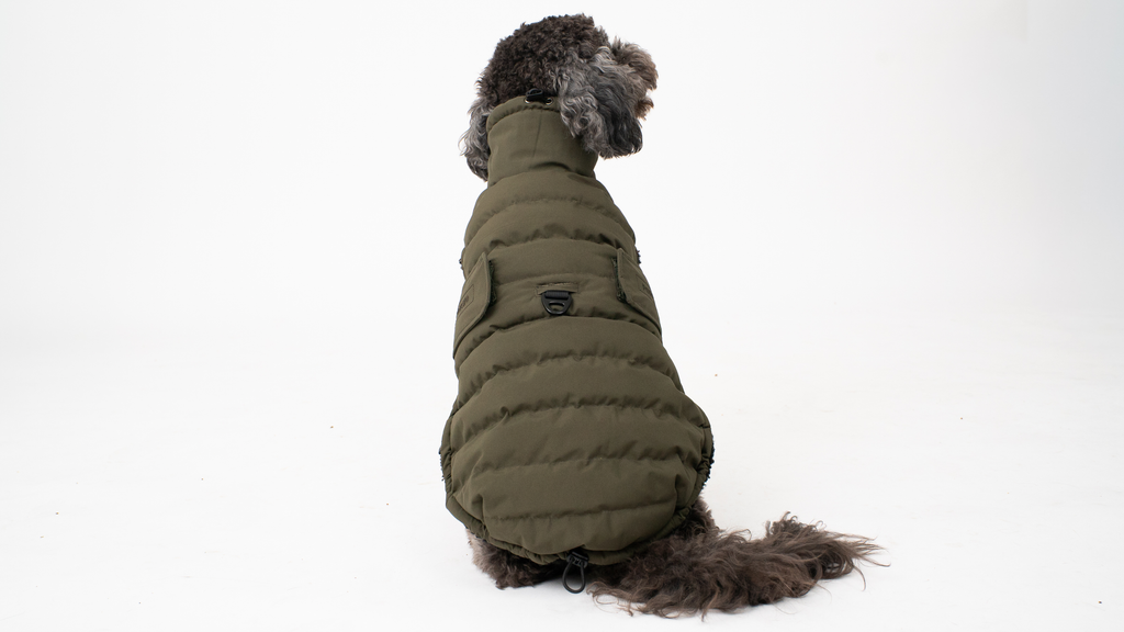 The Original Wild Forest Coat