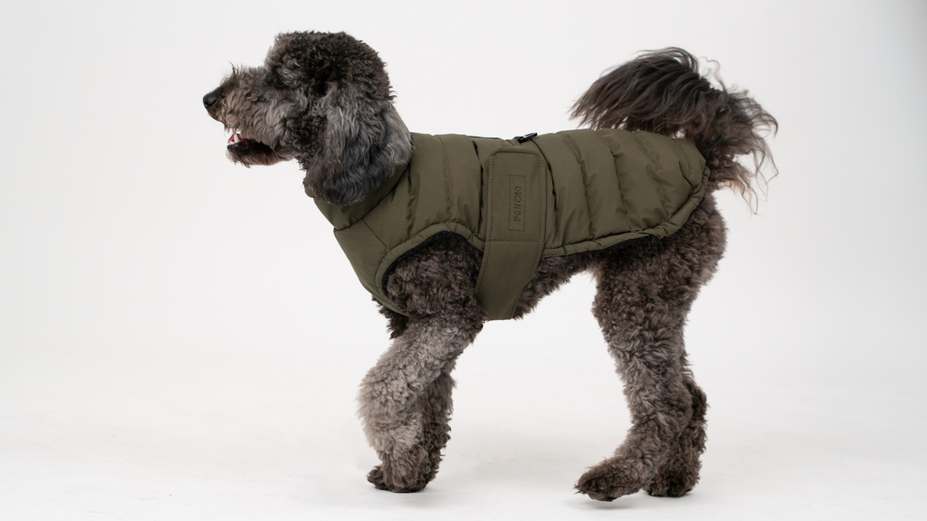 The Original Wild Forest Coat