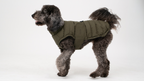 The Original Wild Forest Coat