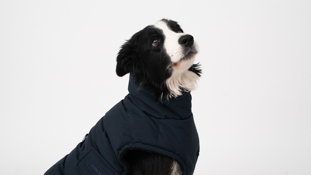 The Original Deep Sea Coat